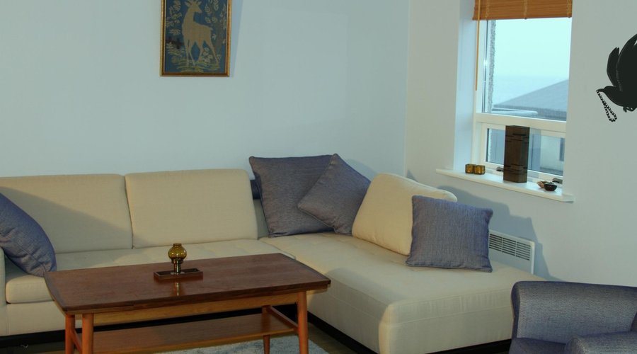 Apartment living space