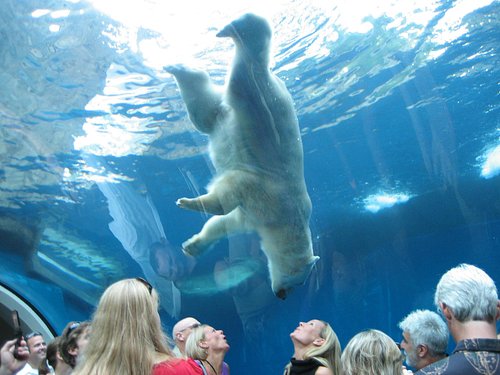 per ongeluk Hedendaags deadline THE 10 BEST Zoos & Aquariums in Pennsylvania - Tripadvisor