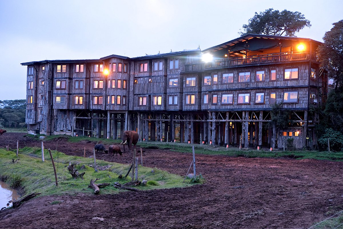 TREETOPS LODGE - Hotel Reviews & Price Comparison (Aberdare National Park,  Kenya) - Tripadvisor