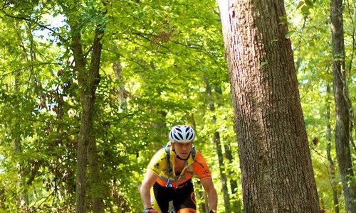 World class mountain bike trail