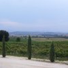 Aceto90