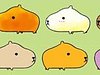 カピバラさんのホワイトさん