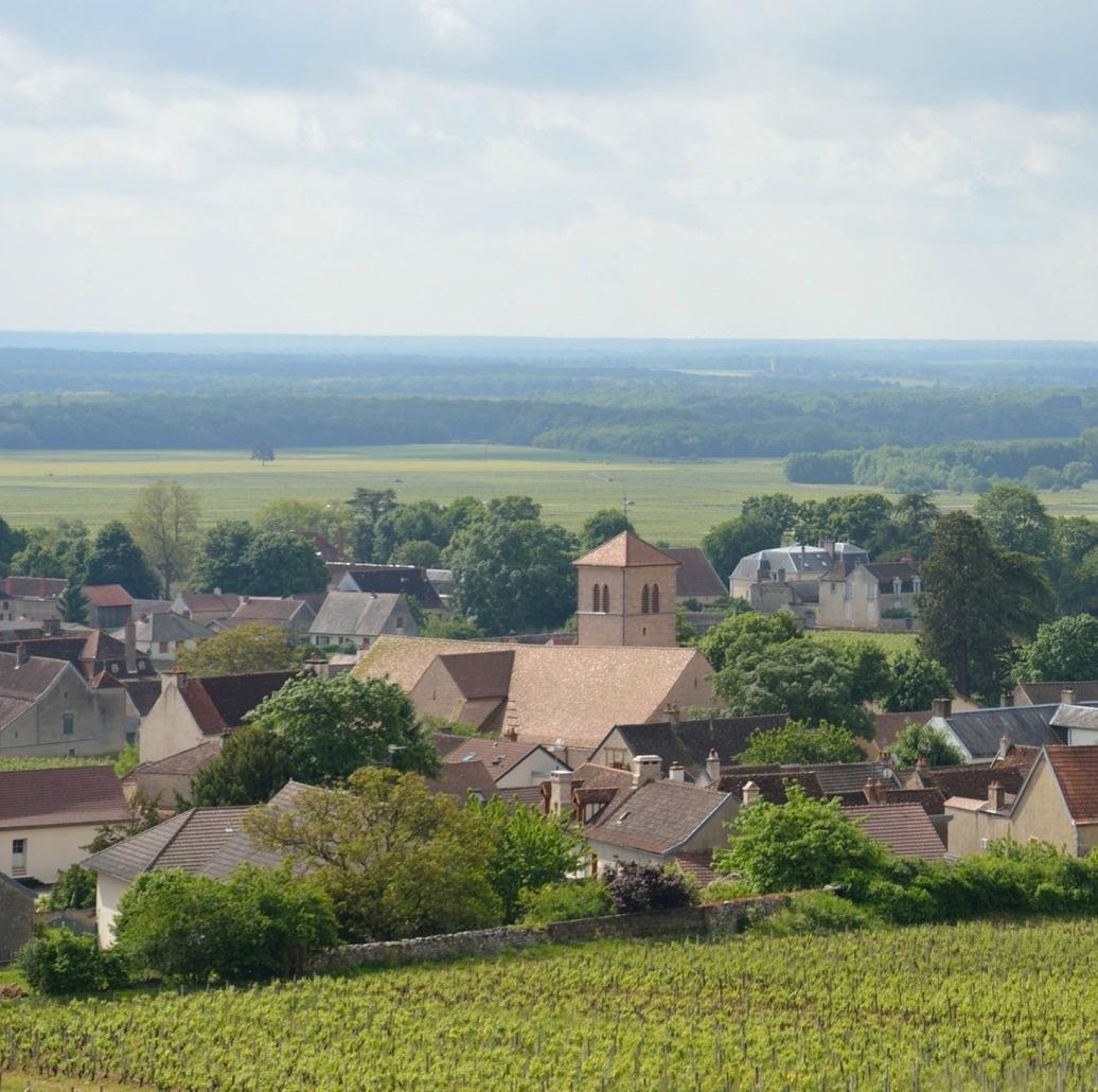 Gevrey-Chambertin, France 2023: Best Places to Visit - Tripadvisor