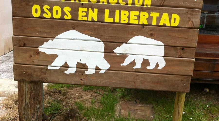 senda del oso TEVERGA