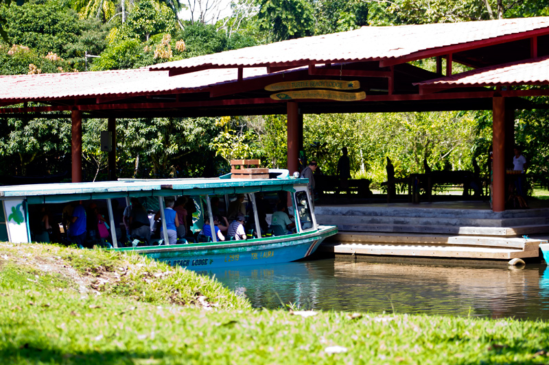 Experience Bliss at Hotel Turtle Beach Lodge, Costa Rica