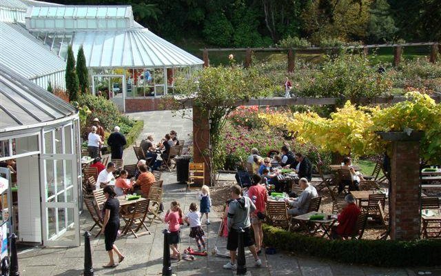 Picnic Cafe