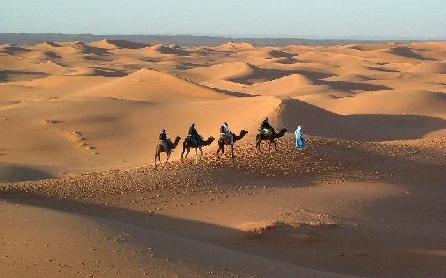 tour avec les dromadaires