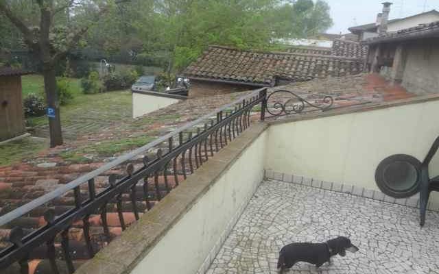 View from veranda (on second floor) [The miniature dachshund is our Tootsie.]