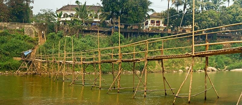 Bamboo Bridge image