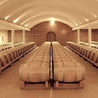 Château de Chantegrive - chai à barriques cuvée Caroline