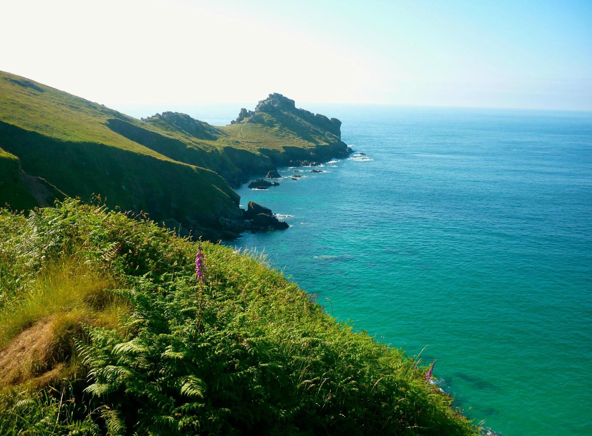 The Gurnard's Head by null