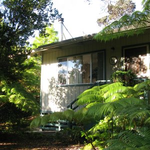 Hapu'u Fern Cottage