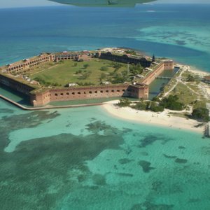 are dogs allowed at fort zachary taylor