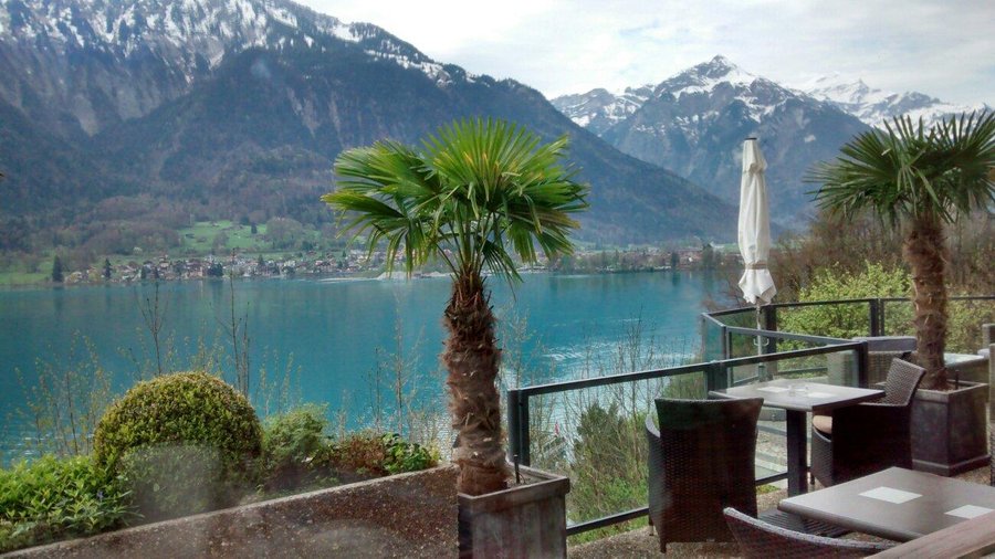 Lake view