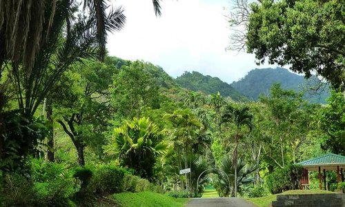 Botanical Gardens