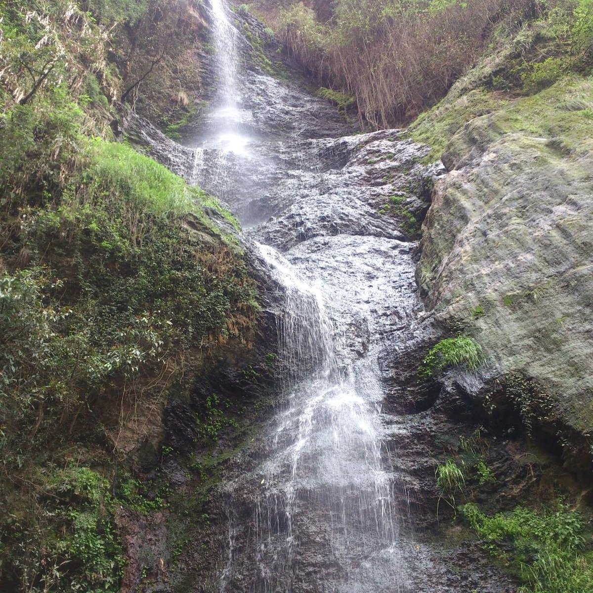 Chadwick Falls (Shimla) - All You Need to Know BEFORE You Go