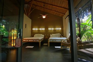 Room & Suite