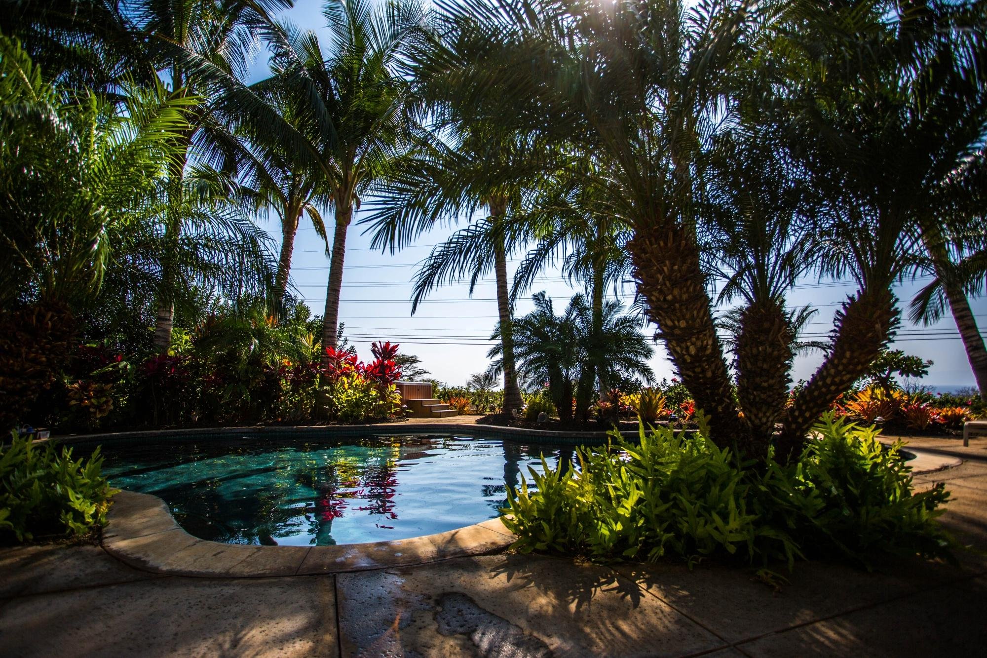 Pineapple Inn Maui by null