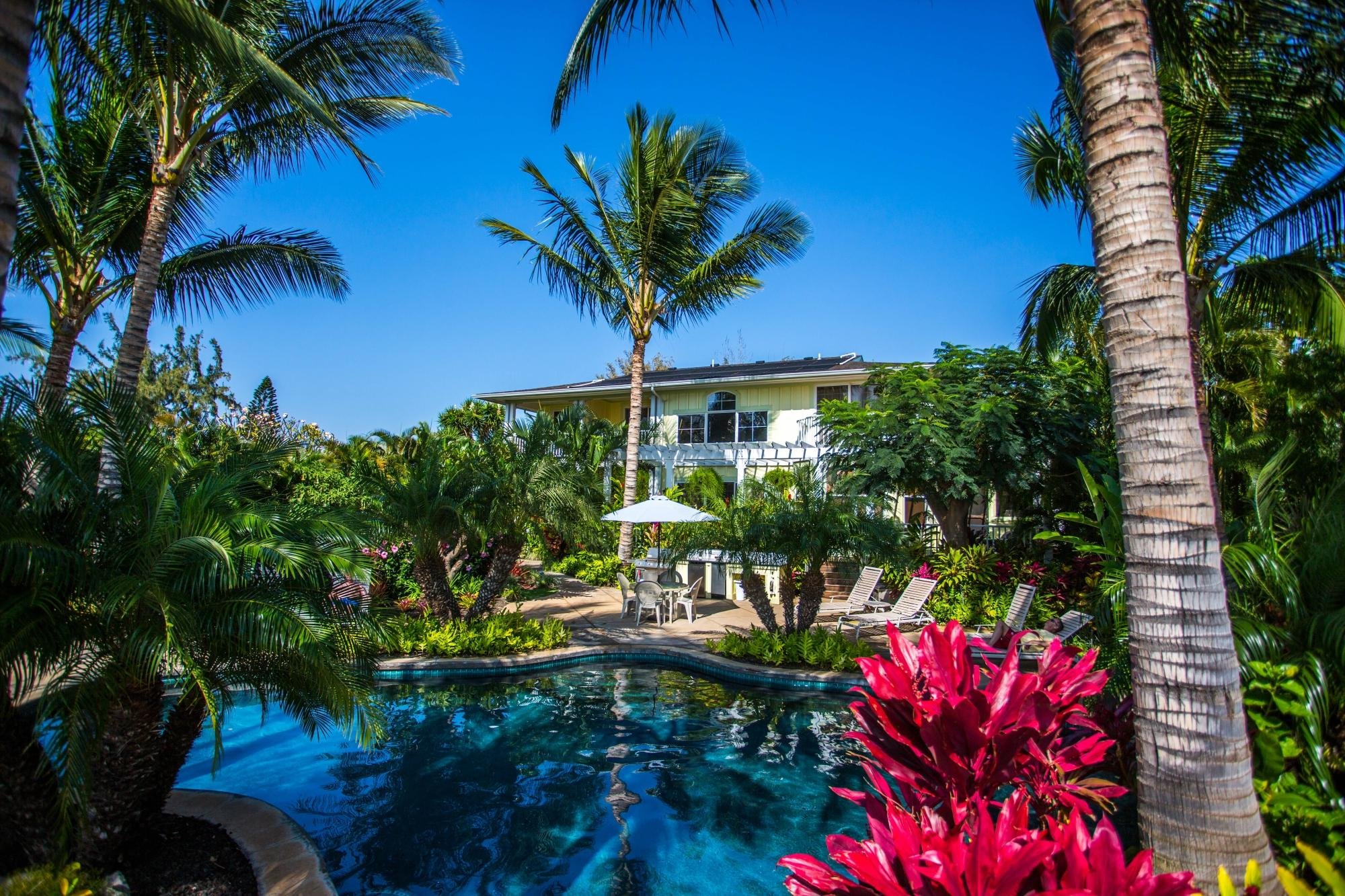 Pineapple Inn Maui by null
