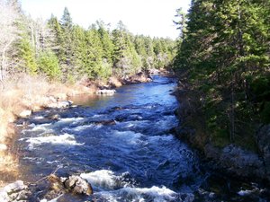 Adair's Wilderness Lodge in Sussex