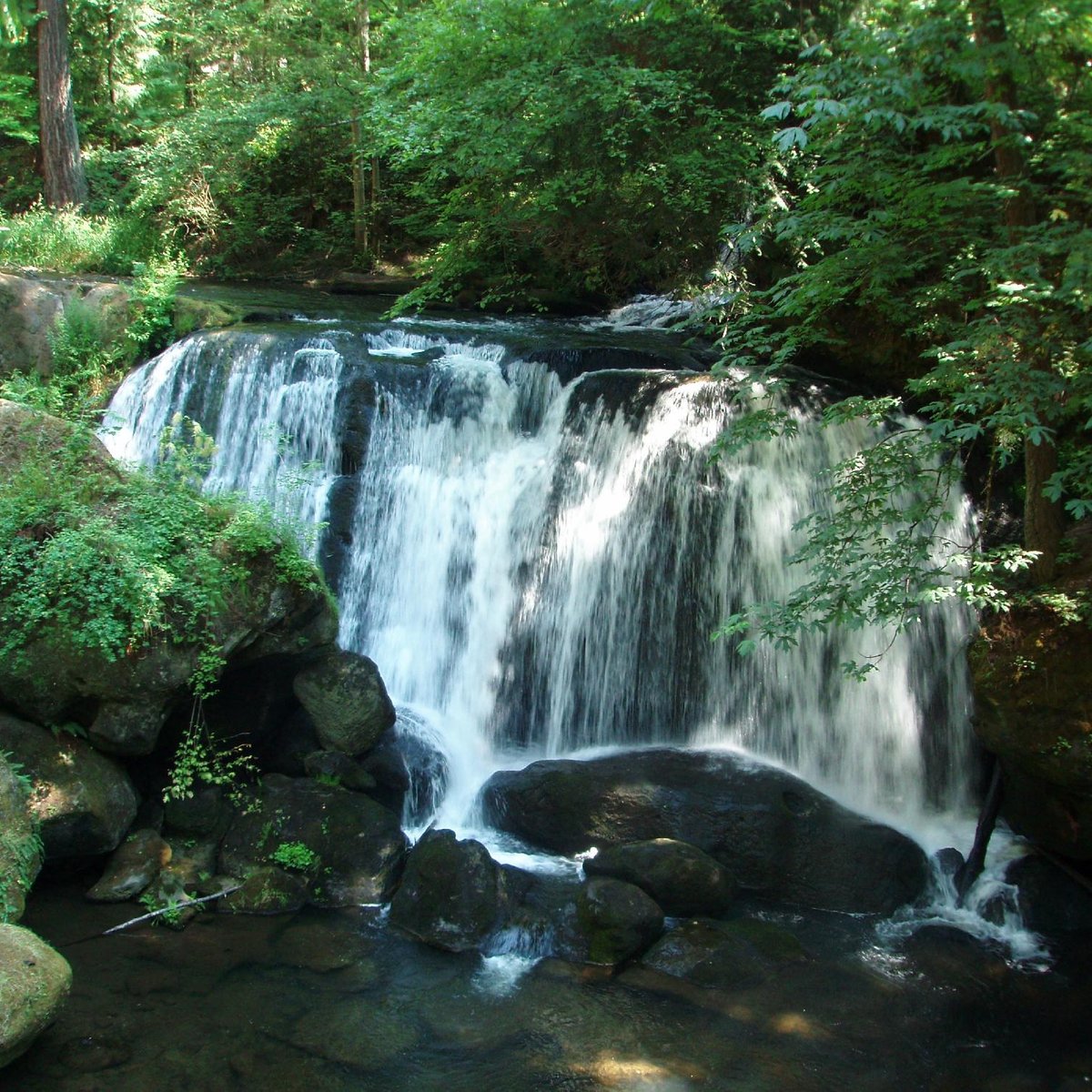 Whatcom Falls Park Map Whatcom Falls Park (Bellingham) - 2022 All You Need To Know Before You Go  (With Photos) - Tripadvisor