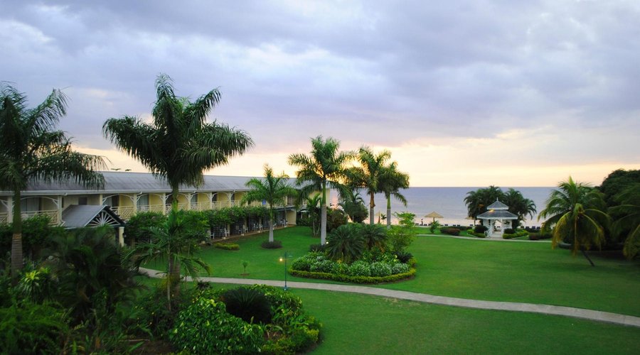 view overlooking The Oasis Gardens