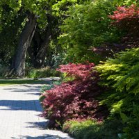 Sunset Magazine Headquarters And Gardens - All You Need To Know Before 