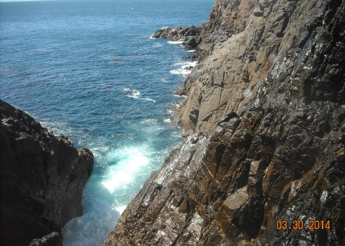 The blowhole starting to rumble