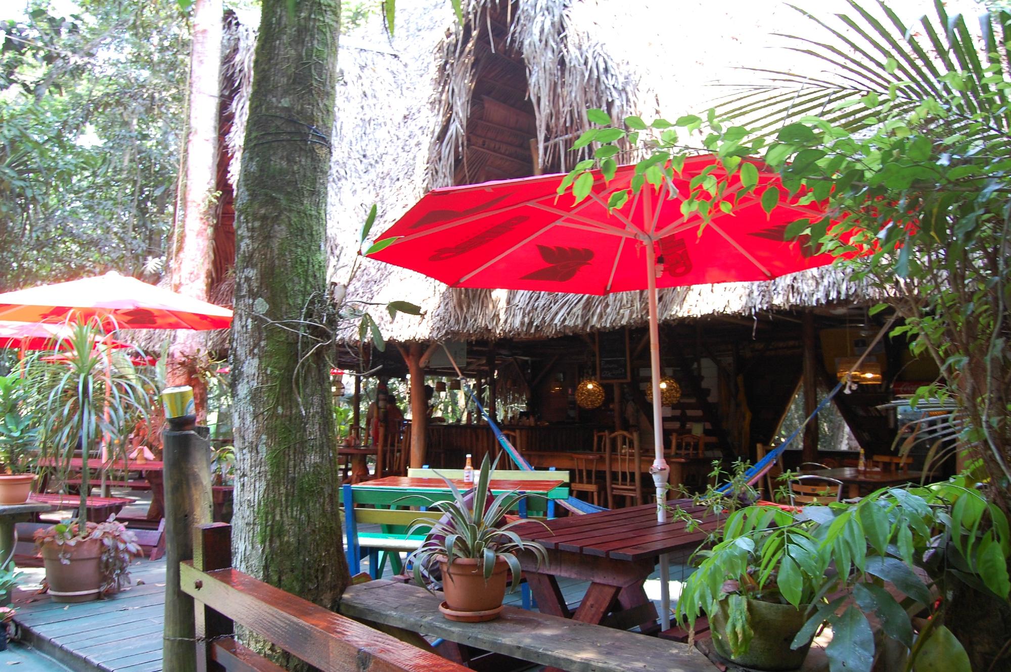 Hotel photo 14 of Hotel Casa Perico.