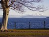 nztraveller