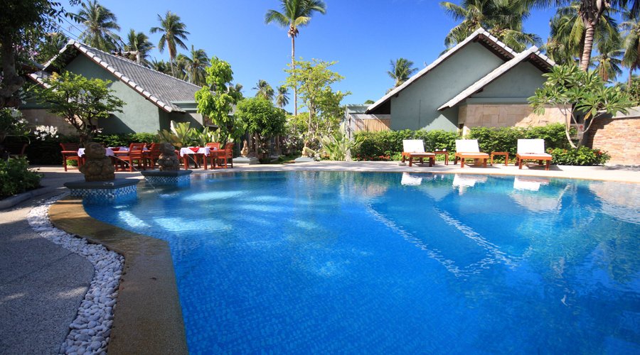 Swim and Dive in the pool