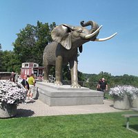 Jumbo the Elephant