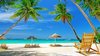 Sunshinesearcher_10