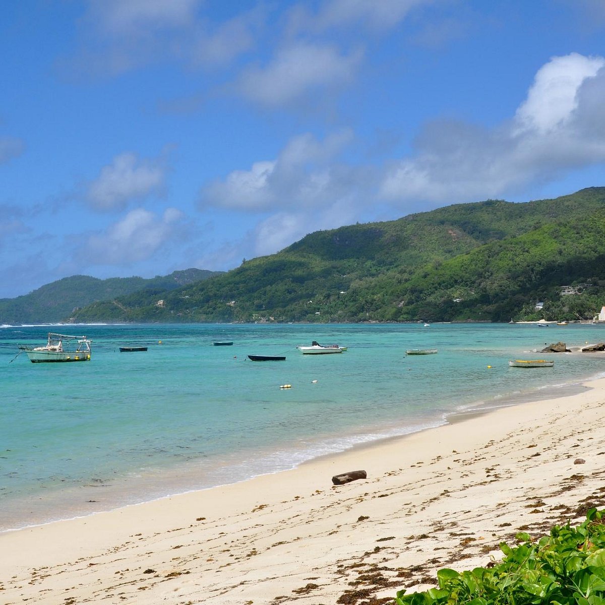 Отзывы пляж остров. Anse Royale Mahe. Anse Royale Beach Сейшелы. Пляж Anse aux Pins. ANC рояль пляж Маэ.