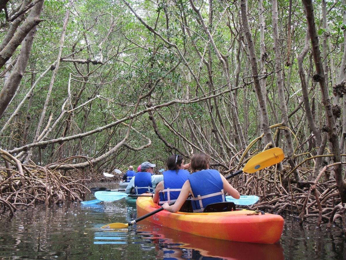 I Kayak Sarasota - All You Need to Know BEFORE You Go (2024)