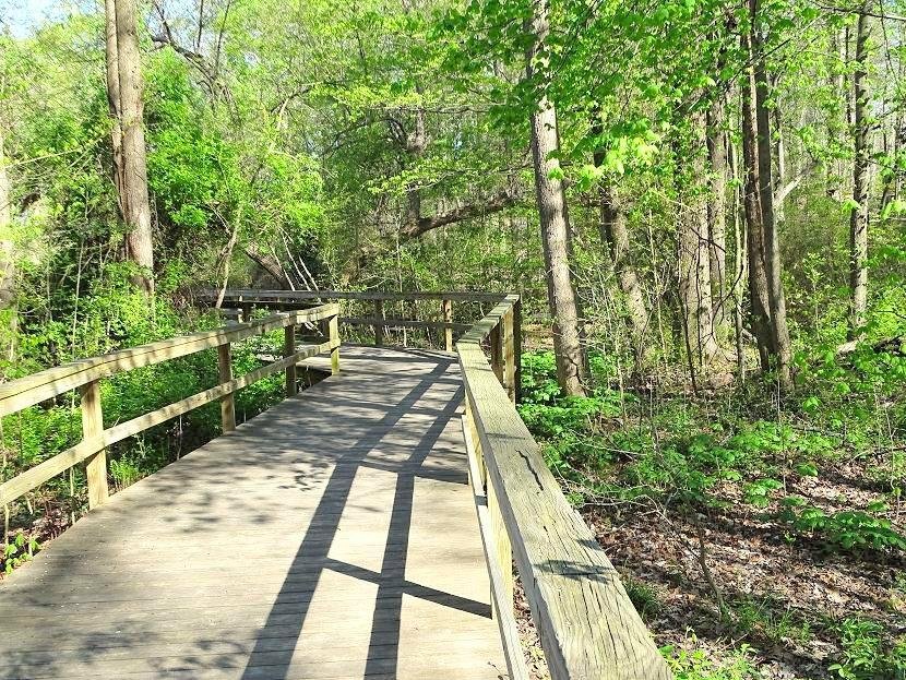 The Bog Garden at Benjamin Park (Greensboro) - All You Need to Know