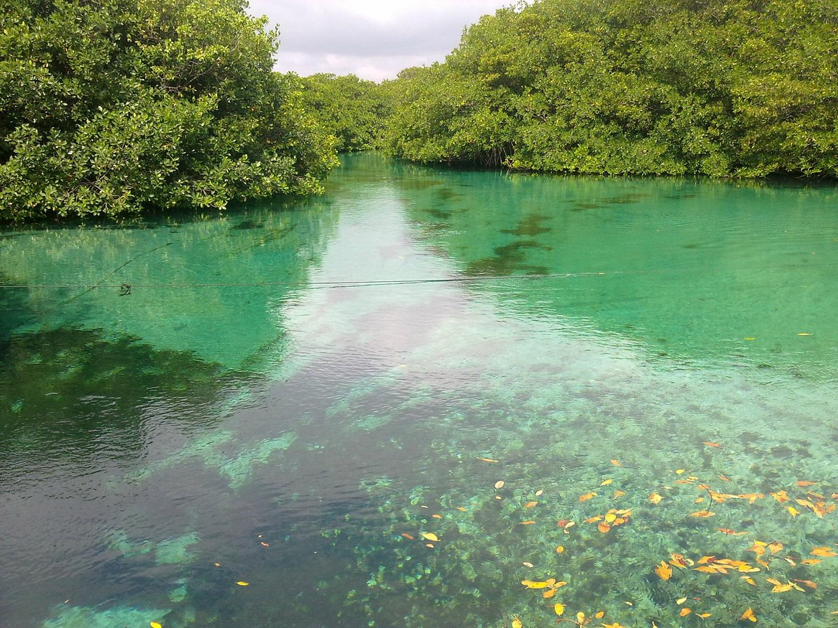 tankah divers tulum