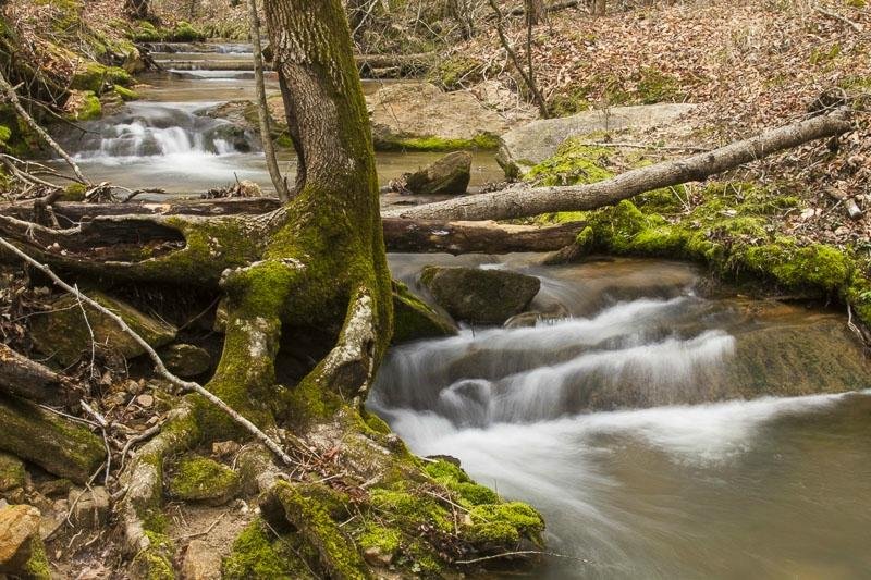 Don Carter State Park (Gainesville) - All You Need to Know BEFORE You Go