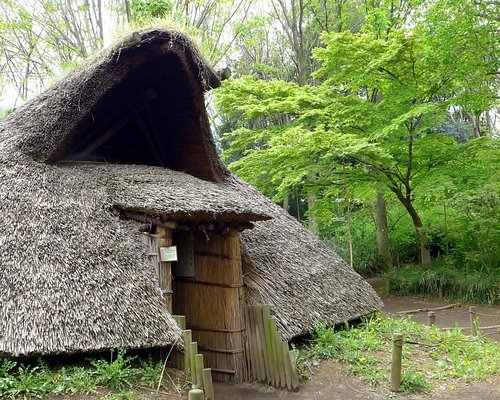 多摩の歴史博物館 多摩の 件の歴史博物館をチェックする トリップアドバイザー