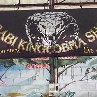 Krabi King Cobra Show