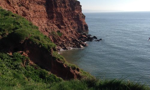 Budleigh