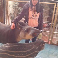 Praktikum Zoo Saarbrücken schöner Zoo