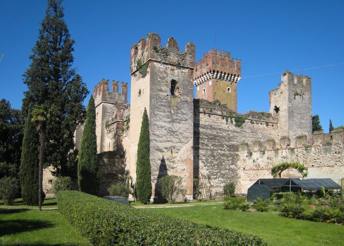 Mura