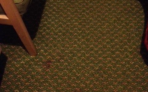 blood stains on floor/ Room 109
