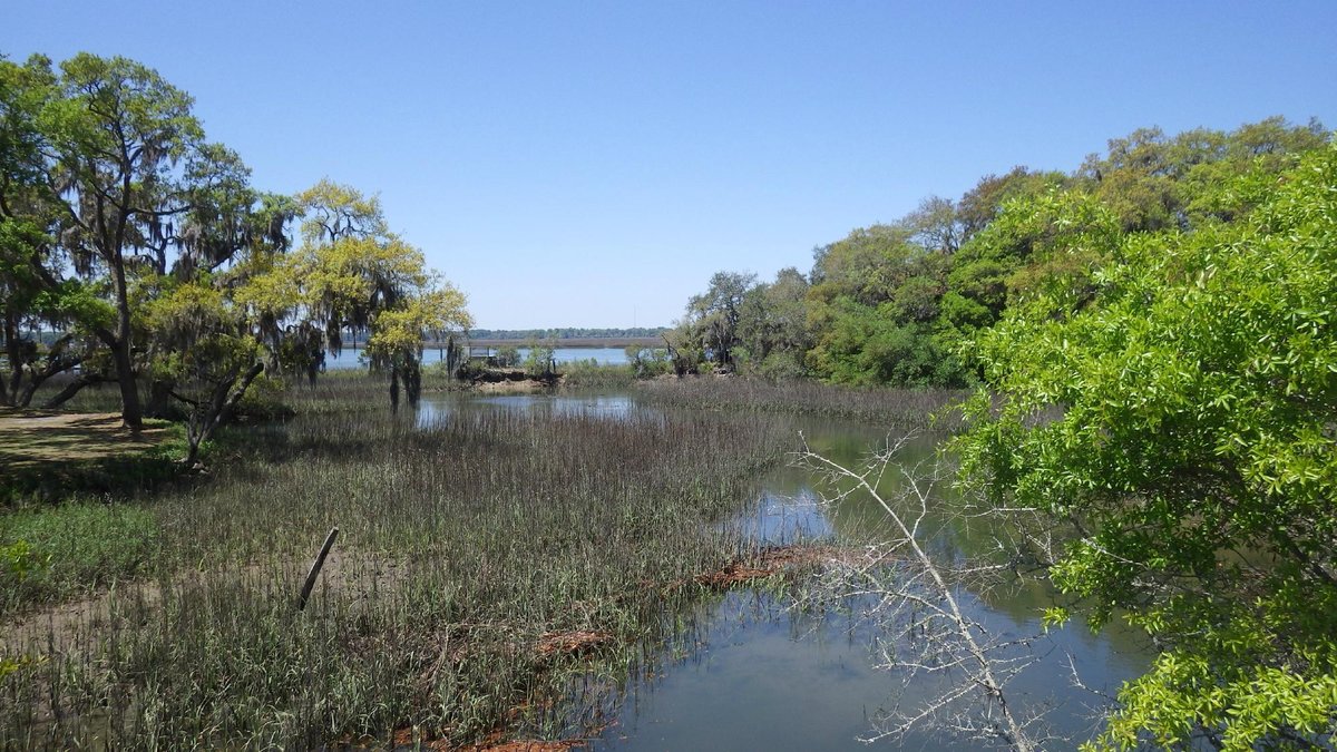 Spanish Moss Trail Map Spanish Moss Trail (Beaufort) - All You Need To Know Before You Go