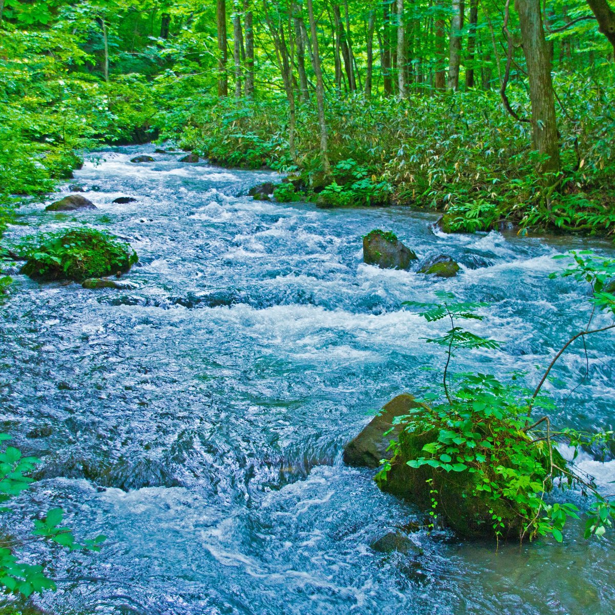 Oirase Gorge Towada All You Need To Know Before You Go