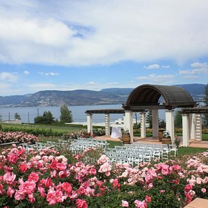 Winery Weddings Available
