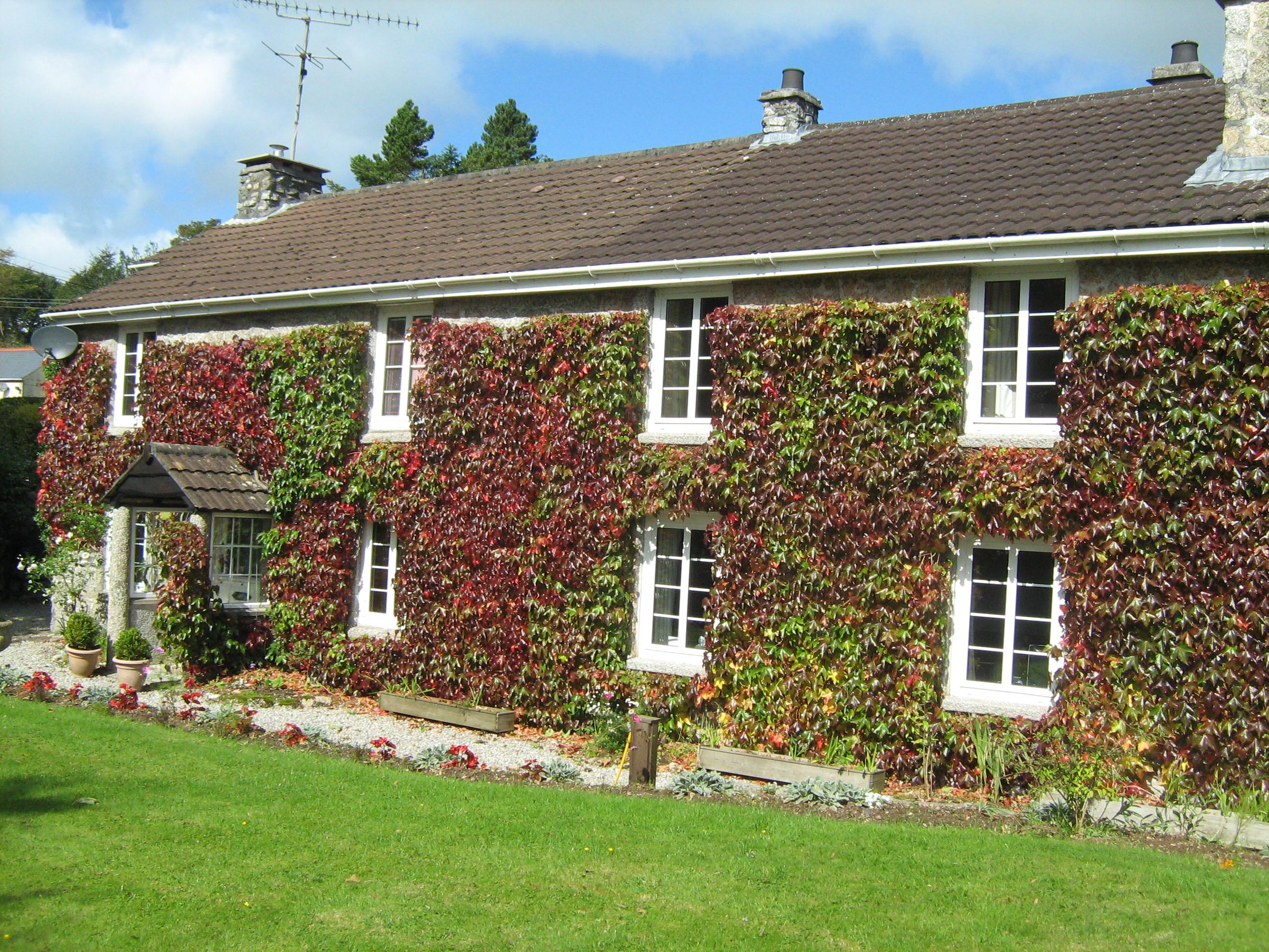 IVY COTTAGE B & B - Guest House Reviews (Luxulyan, England)