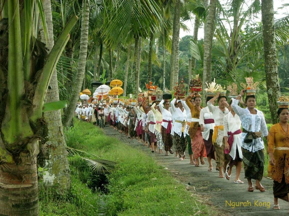 Nengah Bali Tour - All You Need to Know BEFORE You Go (2024)