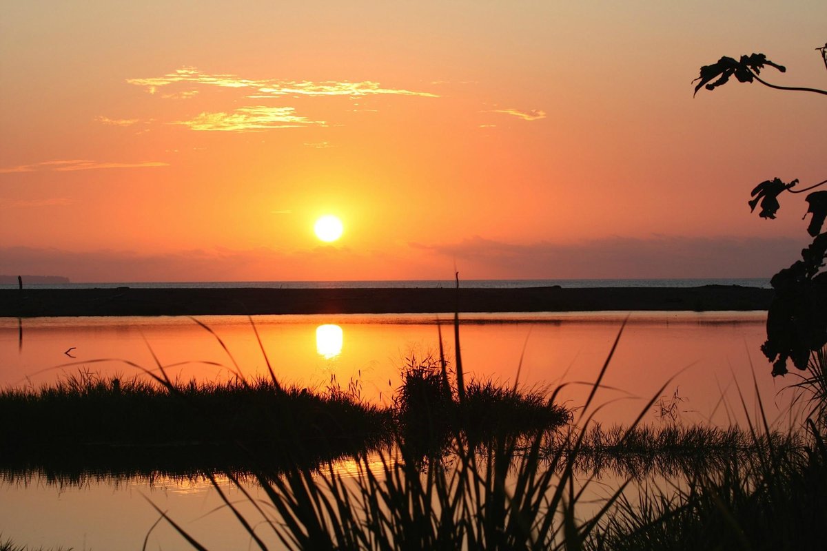 OCEAN FOREST ECOLODGE RETREAT CENTRE, COSTA RICA/DRAKE BAY: 250